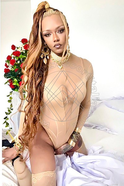 Foto 48 di Bruna Diaz XL transexescort Porto Sant'elpidio