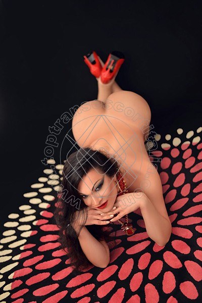 Foto 5 di Priscilla Dolce transexescort Colico