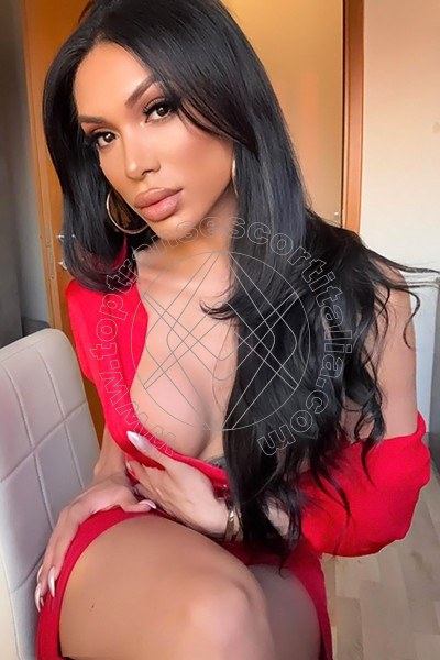 Foto 58 di Angel Bunny transexescort Roma
