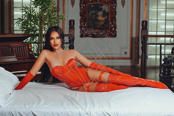 Foto 9 di Sammi Asiatica transexescort Milano