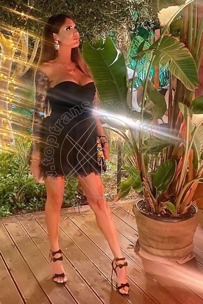 Foto 86 di Alice Italiana transexescort Milano