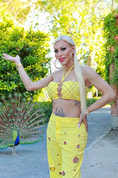 Foto 5 di Nina la divina transexescort Ibiza