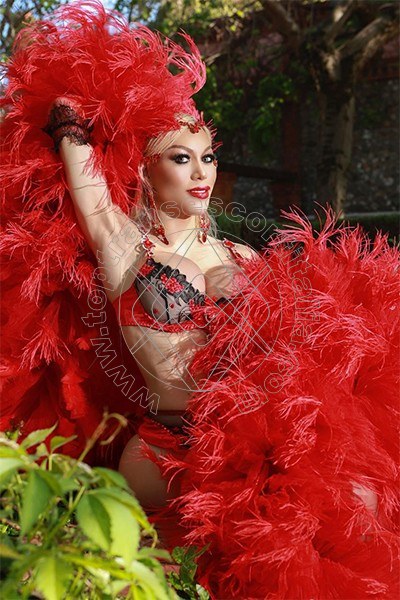 Foto 13 di Nina la 13 divina transexescort Ibiza