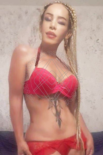 Foto 15 di Anna Chiara transexescort Catanzaro