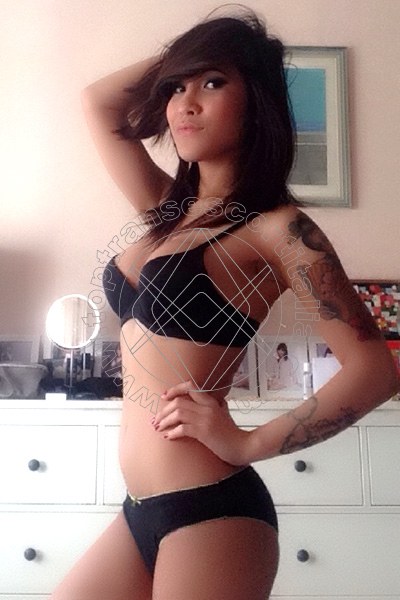 Foto 19 di Miles Asiatica transexescort Torino