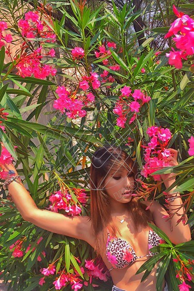 Foto 15 di Miles Asiatica transexescort Torino