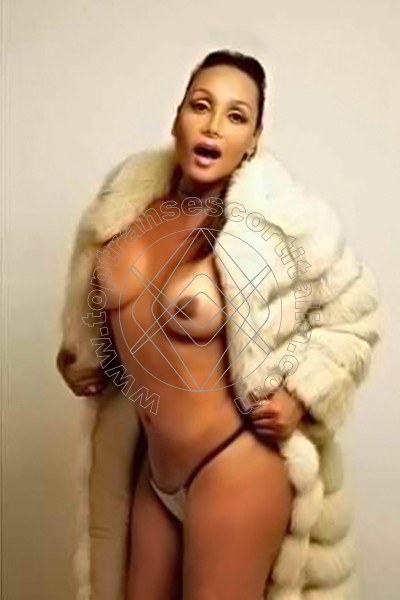 Foto 49 di Amber transexescort Milano