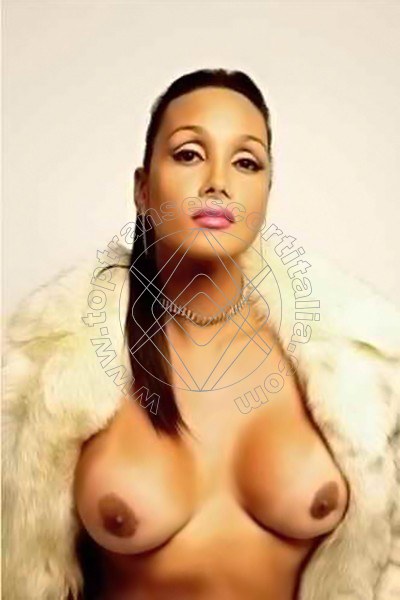 Foto 48 di Amber transexescort Milano