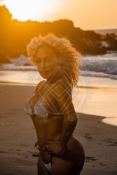 Foto 12 di Amber transexescort Milano