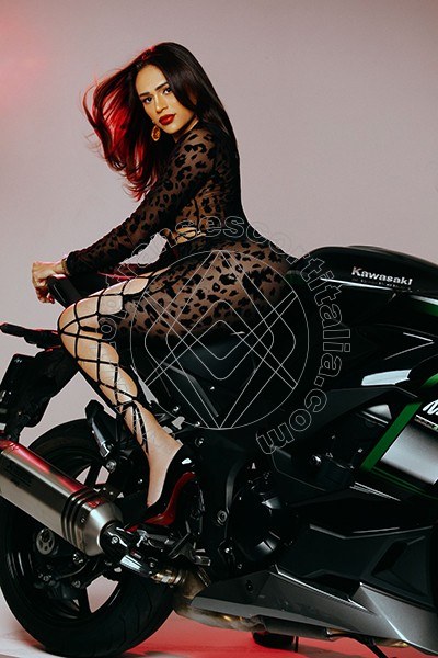 Foto 3 di Larissa Pornostar transexescort Bologna