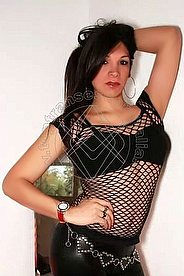 Foto di Noelia XXL transescort