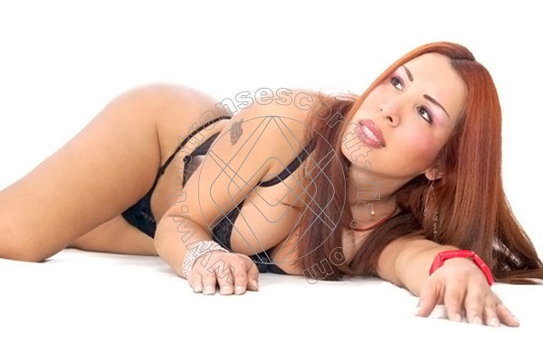 Foto 76 di Rossana transexescort Milano