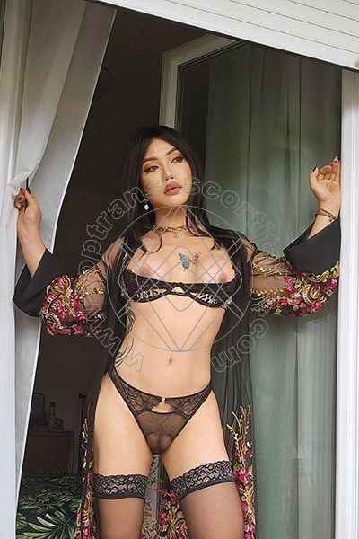 Foto 14 di Sakura Asiatica transexescort Roma