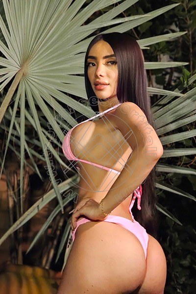 Foto 64 di Pamelita transexescort Roma