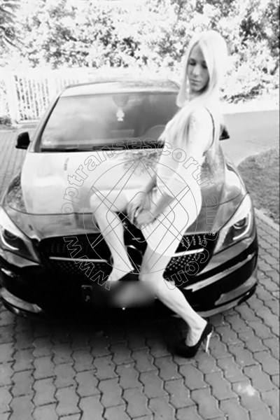 Foto hot 1 di Sofia transexescort Bonn