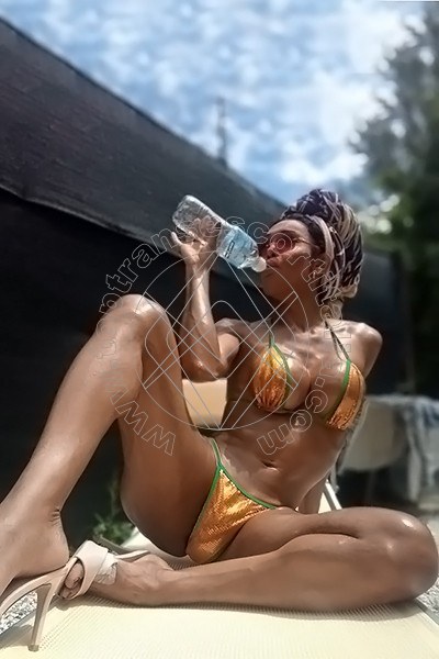 Foto 17 di Wanessa Ambrosio transexescort Frosinone