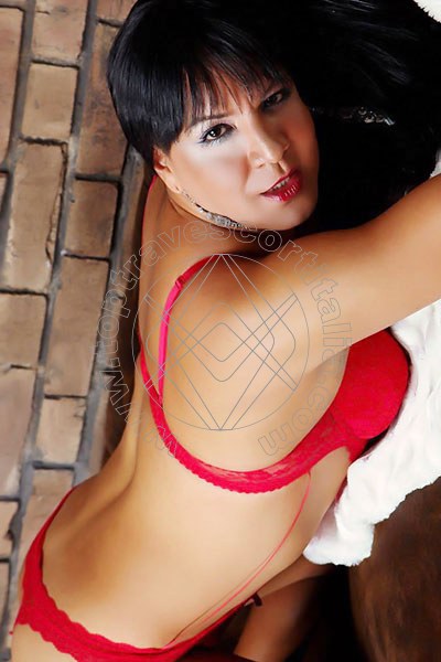 Foto di Ginevra transexescort Fockbek