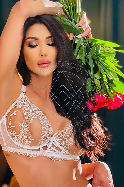 Foto 34 di Graziella Farias transexescort Ospitaletto