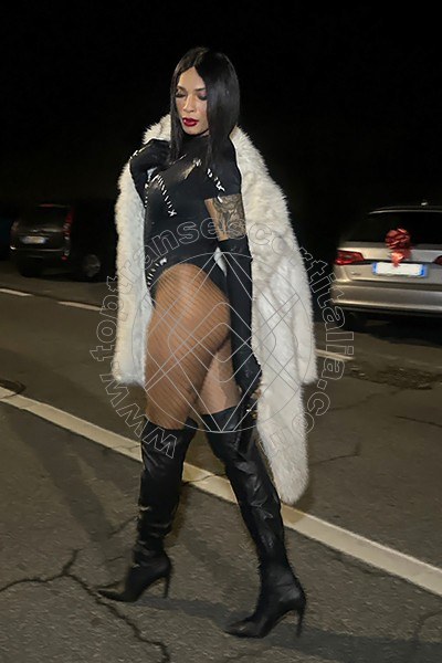Foto 38 di Arianna Ferrari Pornostar transexescort Napoli