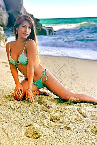 Foto 49 di Liisa Asiatica Ladyboy transexescort Pescara
