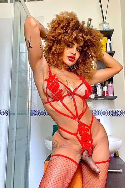 Foto hot 4 di Stella transexescort Milano