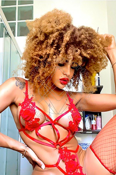 Foto 25 di Stella transexescort Milano