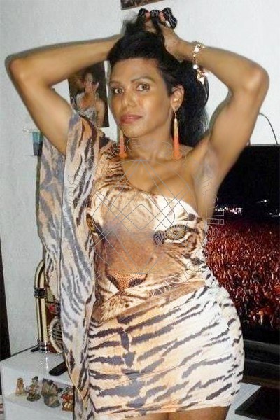 Foto 7 di Eva Star transexescort Tortosa