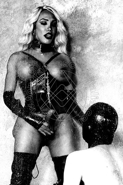 Foto hot 4 di Diosa Tiffa transexescort Palma Di Maiorca