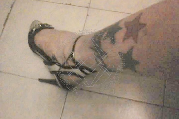 Foto 60 di Suzana Pantera transexescort Bologna
