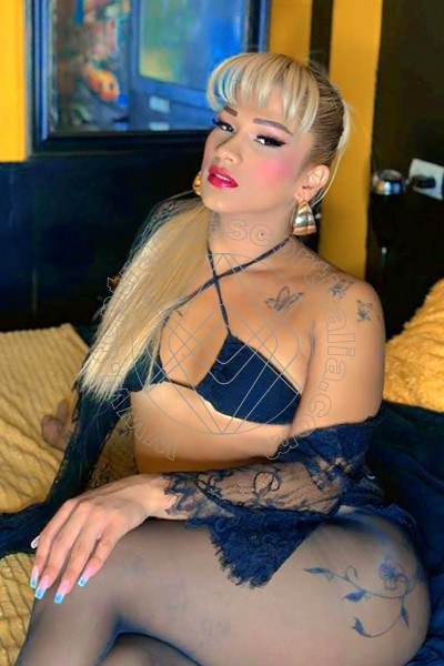 Foto 24 di Gaja transexescort Madrid