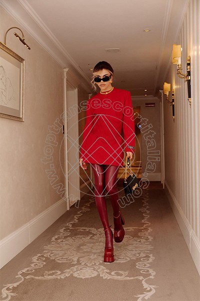 Foto 242 di Rafaella Menicucci Xxl transexescort Milano