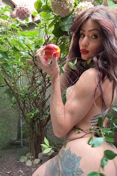 Foto 3 di Fernanda Ambrosio transexescort Milano