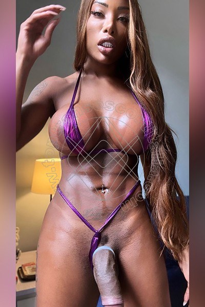 Foto hot 35 di Campbell transexescort Firenze
