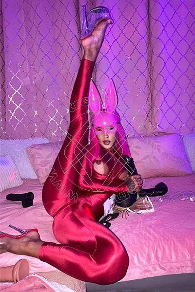 Foto 9 di Lady Leticia transexescort Milano