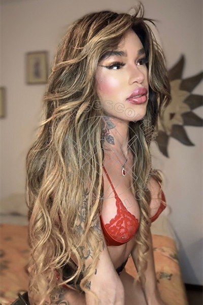 Foto 6 di Sofia transexescort Gallarate
