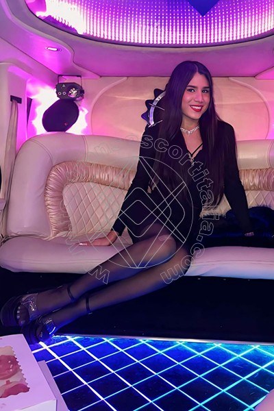 Foto 7 di Gretta transexescort Milano