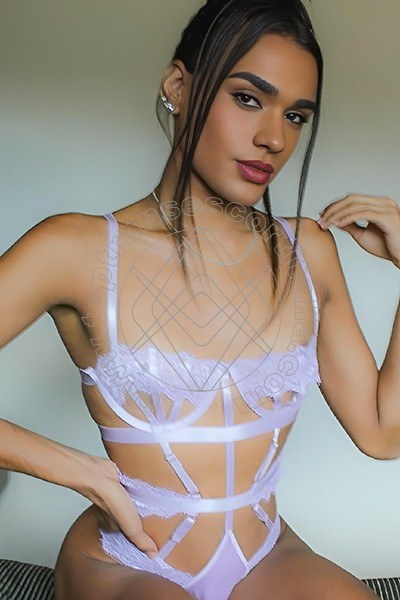 Foto 69 di Sophia Goldh transexescort Chiavari