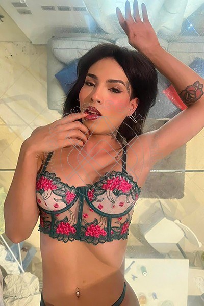 Foto 5 di Arielli Collins transexescort Roma