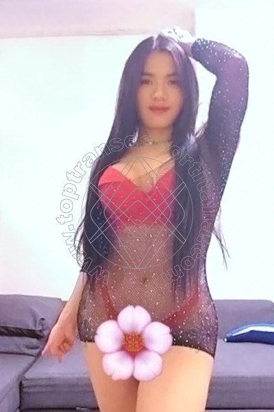 Foto 15 di Massiel transexescort Torino