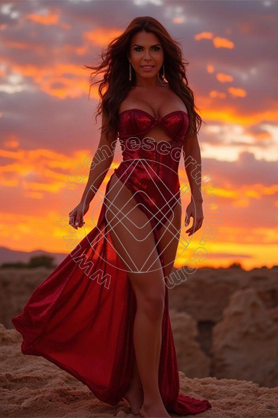 Foto 25 di Paty Ferrary transexescort Rio De Janeiro