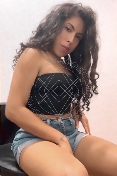 Foto 7 di Alessandra Castello transexescort Mestre