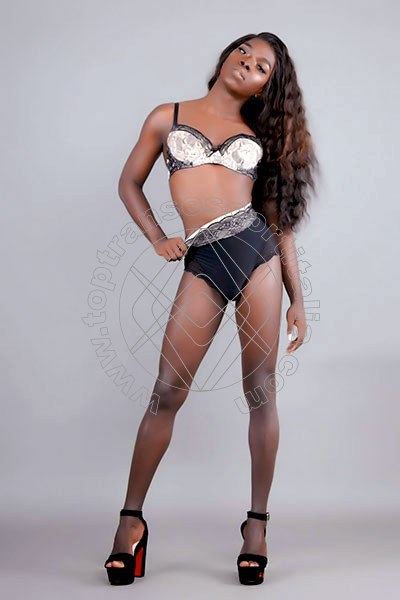 Foto 48 di Safira Sant'z transexescort Alba Adriatica