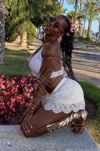 Foto 1 di Andrea transexescort Ibiza