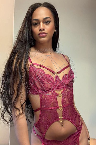 Foto 20 di Victoria New transexescort Bologna