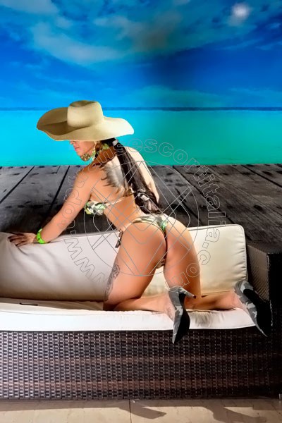 Foto 335 di Joanna transexescort Albisola