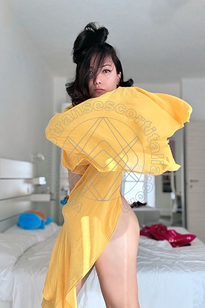 Foto 111 di Jj La Numero Uno transexescort Torino