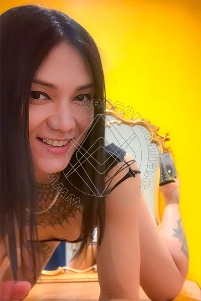Foto 10 di Jj La Numero Uno transexescort Torino