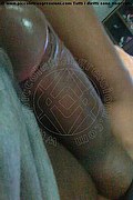 Foto selfie hot di Lorena transexescort Lione
