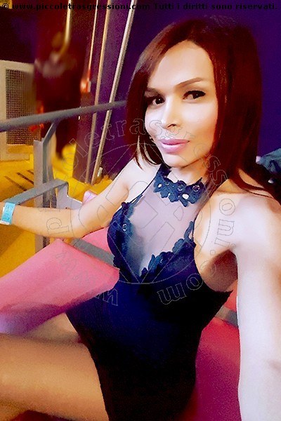 Foto selfie 14 di Daniela Kosan transexescort New York