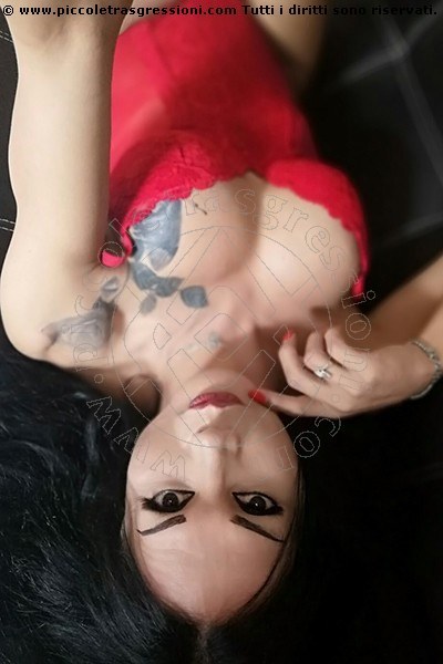 Foto selfie 82 di Adriana Paulett transexescort Paese